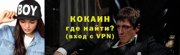 прущие грибы Волоколамск