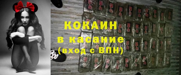 прущие грибы Волоколамск