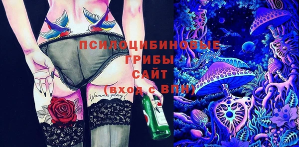 прущие грибы Волоколамск